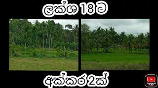 අඩුවට ලොකු ඉඩමක් (HARIYATA HARI LK)