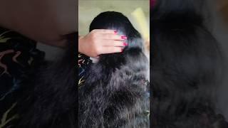 #viralvideo #youtubeshorts #hairstyle #rupa kumari#youtubeshorts