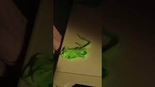 Creative LED Fluorescent Shoelaces