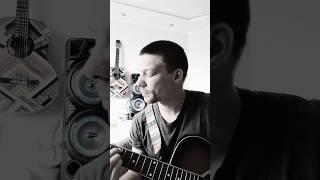 ВЕСНА!!! #pilgrim #beattime #rek #guitar #акустика #cover #tiktok