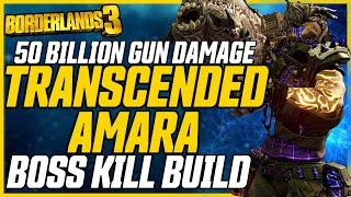 Ultimate Boss Killing Amara Build (+Gamesave) // Transcended Amara V2 // Borderlands 3