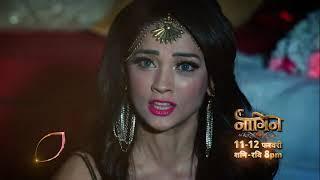 Naagin 6 | Sat-Sun | 8.00PM | Colors