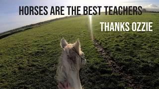 The Power of Patience - A Horse Riding Lesson by Elaine Heney & Listening to the Horse