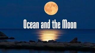 Ocean and the Moon - Vladimir Filippov (Parroslab Group)