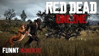 Red Dead Online - Приколы, Фейлы, Смешные моменты | Funny Moments Red Dead Redemption 2 на PC