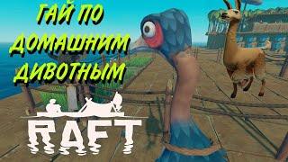 Всё про домашних животных в RAFT.