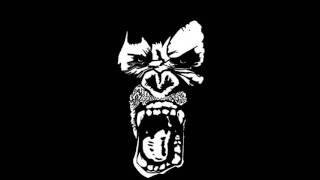 Gorilla Flava