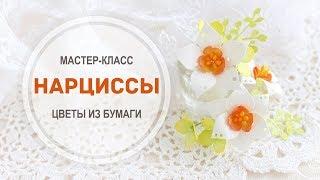 Мастер-класс "Нарциссы"