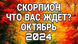 СКОРПИОН ОКТЯБРЬ ЧТО ВАМ НУЖНО ЗНАТЬ ПРЯМО СЕЙЧАС ЧТО ВАС ЖДЁТ ПРОГНОЗ НА ОКТЯБРЬ 2024