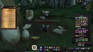 World of Warcraft Quest: Книга Рун (id=11346)