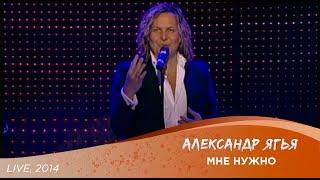 Александр Ягья — Мне нужно (LIVE, 2014)