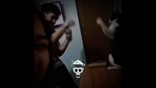 Cat's reflexes.. #cat #trollface #shortvideo