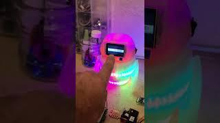 What does an E-Bot Assistant do? #ebotassistant #303fpv #ebot #led
