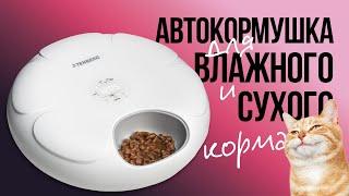 Автокормушка для кошек с охлаждением для влажного корма - обзор Tenberg Yummy X2