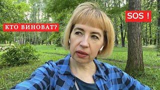 КТО ВИНОВАТ? SOS: У нас черви! Покупки из фикс прайс и не только. Сделала прическу.