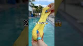 RESULTS - LEFT MY CRUNCHY STRESS BALL IN THE POOL FOR 2 DAYS! 