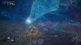 Augur Raid: Platinum Trophy Guide | ELDEN RING NIGHTREIGN