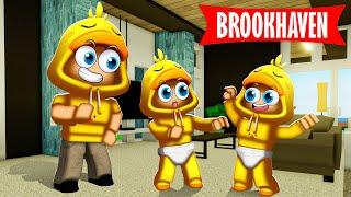 Baby Dennus Heeft Een TWEELING In Brookhaven! (Roblox)