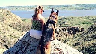 Even German Shepherd Loves the view