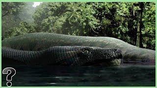 What If The Titanoboa Snake Didn't Go Extinct?