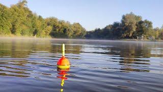 ЛОВЛЯ ТРОФЕЙНОГО ТОЛСТОЛОБА!!! Водоем кишит рыбой!!! Рыбалка с ночевкой