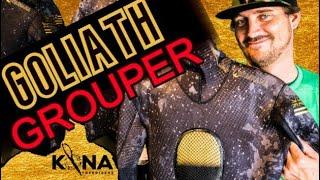 Best Spear Fishing Suit - Waihana Goliath Grouper Wetsuit | Kona Freedivers