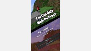 Minecraft, But You Can ONLY TOUCH GRASS!!! |#shorts