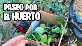 Me Envían una BICICLETA ELÉCTRICA!! ️ Y me voy a por PLANTAS  Fiido T1 Pro | La Huerta de Ivan