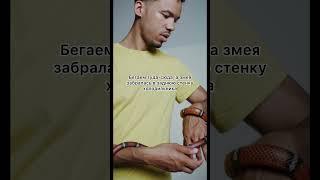 Треш история со змеёй