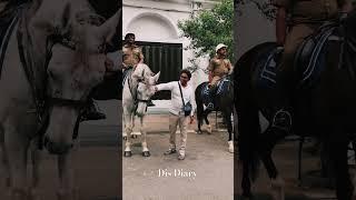 Wow Police Horse   | Dis Diary |Travel  #horse #travel #youtubeshorts
