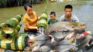 How to block the flow of flood season to catch fish - Catch many types of large fish _ Phuong Family