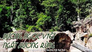 [OFFICIAL MV]NSUT NGỌC TUYỂN ||NGÁT HƯƠNG RỪNG||DƯƠNG NGỌC VIỆT-QUANG DAU||