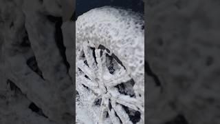 PREMIUM FOAM WASH LIQUID || XUV700 PREMIUM CAR WASHING IN RADHA WASHING CENTRE #yt #shorts 