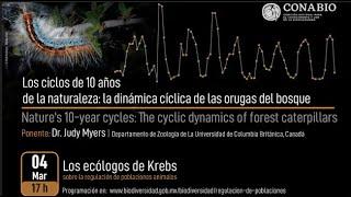 Los ciclos de 10 años de la naturaleza: la dinámica cíclica de las orugas del bosque, Dr. Judy Myers