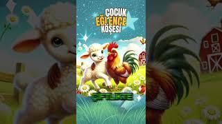 Huzurlu Uykunun Sırrı | Uyku Masalları | Çocuk Masalları | Uyku Masalı  #çocukeğitimi #uykumasalları