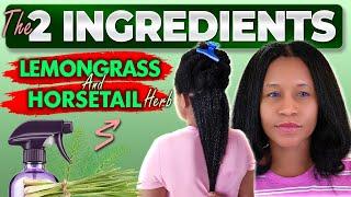 How To Grow Your Hair Faster Overnight | Herbal Lemongrass and Horsetail Tea