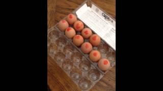 Eggland's Organic Eggs - RED DYE seeps into eggs