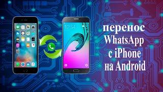 как перенести переписку whatsapp с iPhone на Android