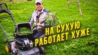 удалитель сорняков FISKARS Solid реальный тест на сухую работает хуже!