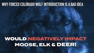 Forced wolf introduction will negatively impact Colorado’s ungulate populations!