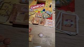 Новая игра Camel Cup #game #игры #досуг #shorts