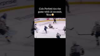 Wow #hockey #nhl #viralvideo