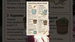 5 Эффективных Подкормок для Растений: Натурально и Просто