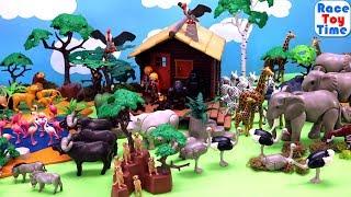 Playmobil Wildlife Safari Animal Toys Collection - Fun Animals Toys For Kids