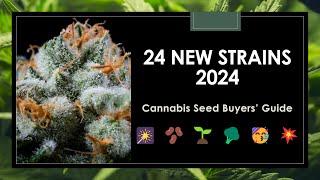 24 New Strains for 2024: Seed Buyers' Guide to New Cannabis Genetics