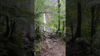 Syndicate Falls Hike Short