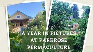 A Year in Pictures at Parkrose Permaculture