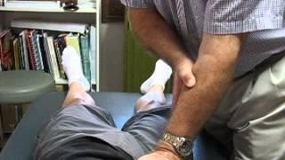 Part 1: Ankle, SIJ, Whole Body Patterns - Hesch Method Manual Therapy