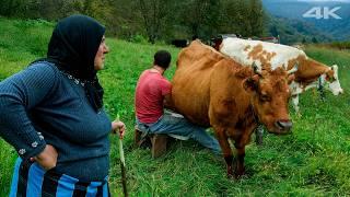 Forgotten Paradise - Life in a Hamlet | Documentary Film