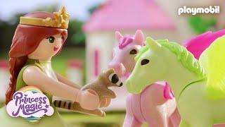 Princess Magic: Das verlorene Waschbärenbaby | PLAYMOBIL Kurzfilm